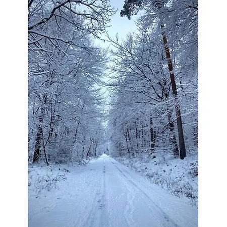 Holiday home Grimm Comfortable Eschbach (Rhein-Lahn)