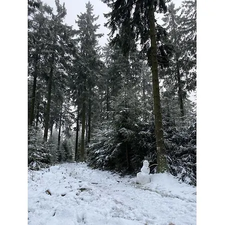 Grimm Comfortable Holiday home Eschbach (Rhein-Lahn)