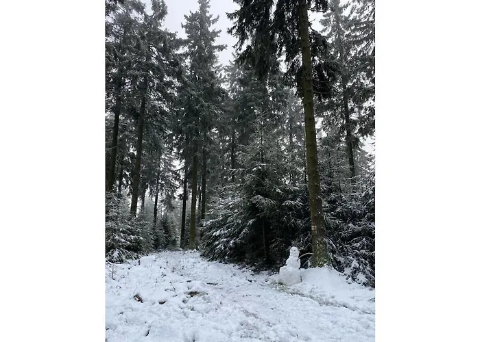 Grimm Comfortable Σπίτι διακοπών Eschbach (Rhein-Lahn)